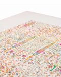 Shams Sari