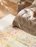 Shams Sari