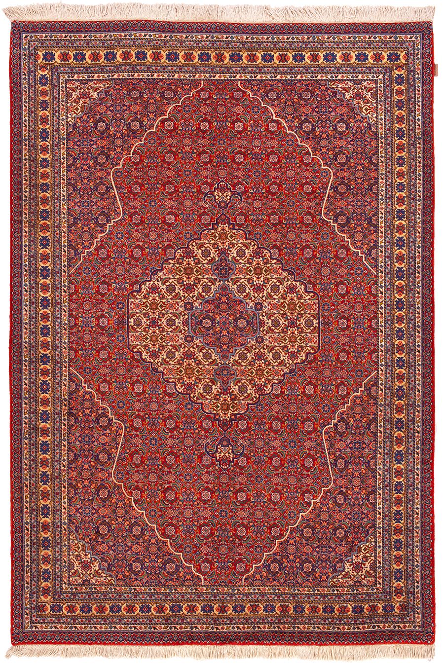Tabriz Fein