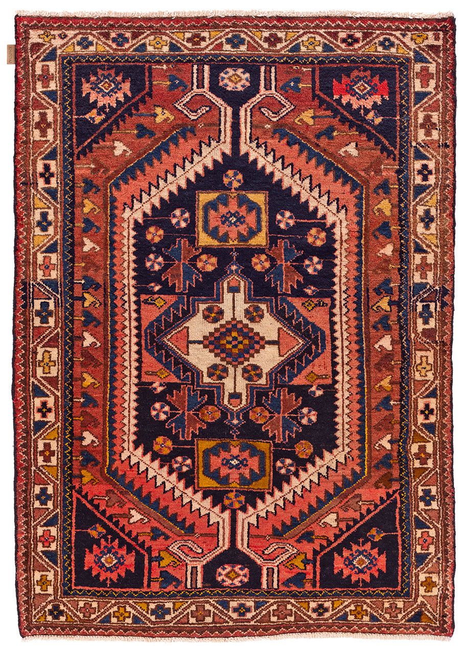 Shiraz wild desert
