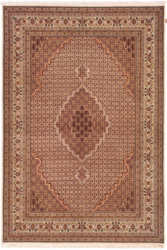 Tabriz Fein